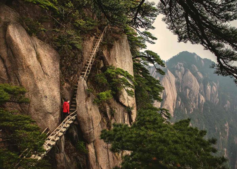 ladder