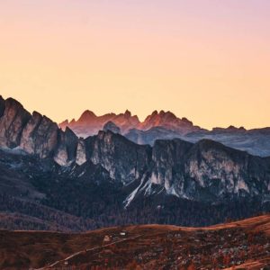 In eu placerat metus