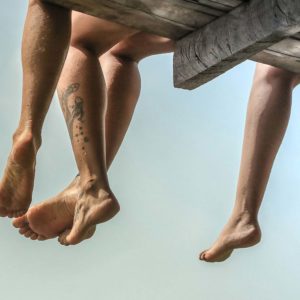 Fringilla lectus placerat