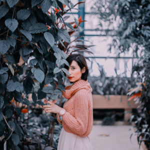 In eu placerat metus