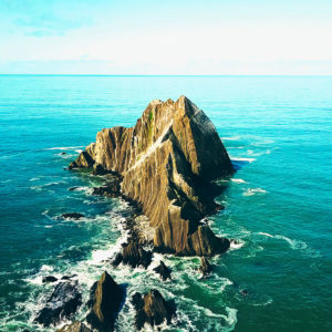 Suspendisse scelerisque