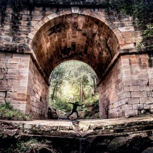 Scelerisque dignissim