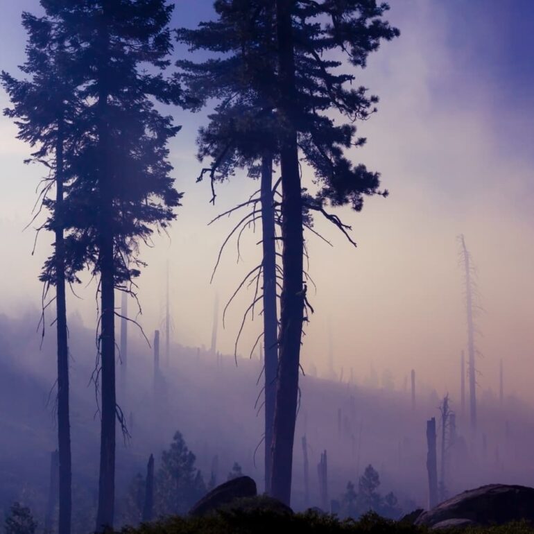 mountain